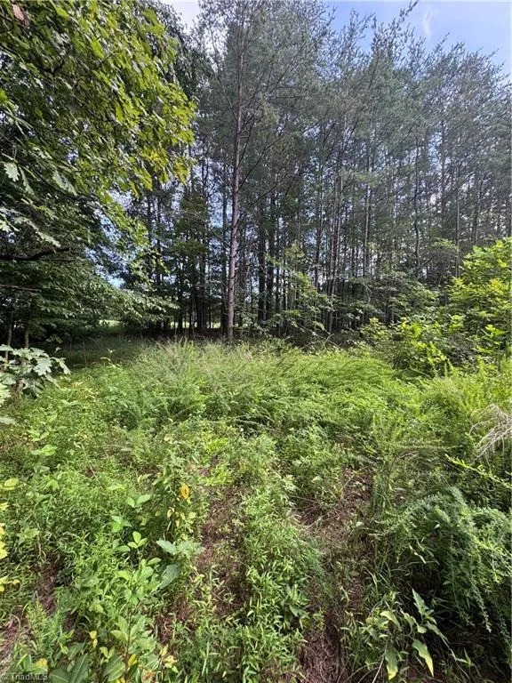 0 Johnson Road King, NC 27021