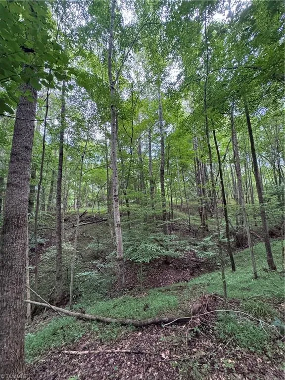 0 Johnson Road King, NC 27021