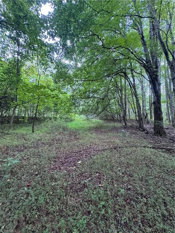0 Johnson Road King, NC 27021