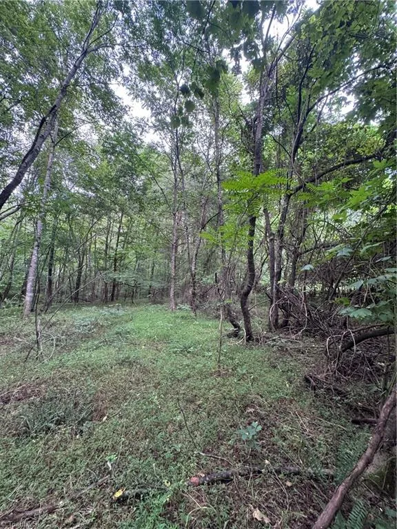 0 Johnson Road King, NC 27021
