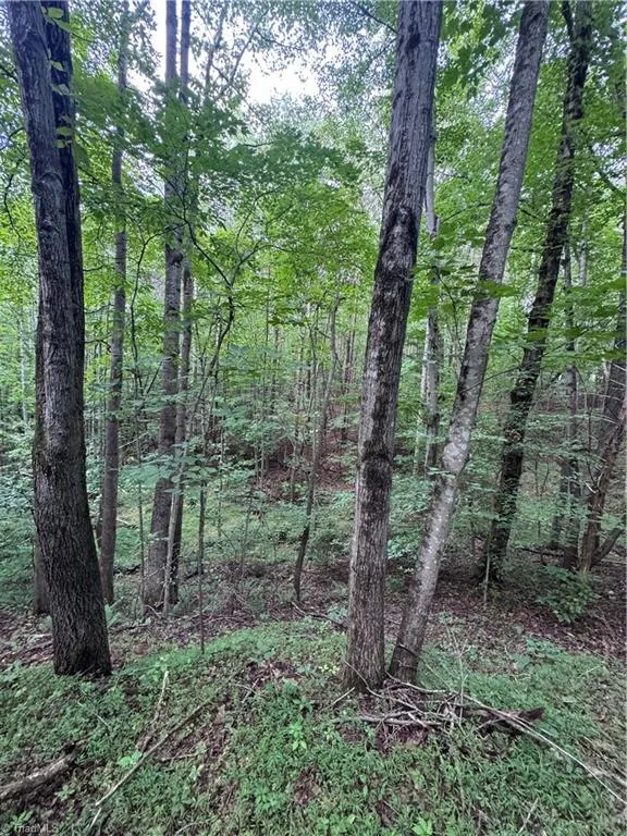 0 Johnson Road King, NC 27021