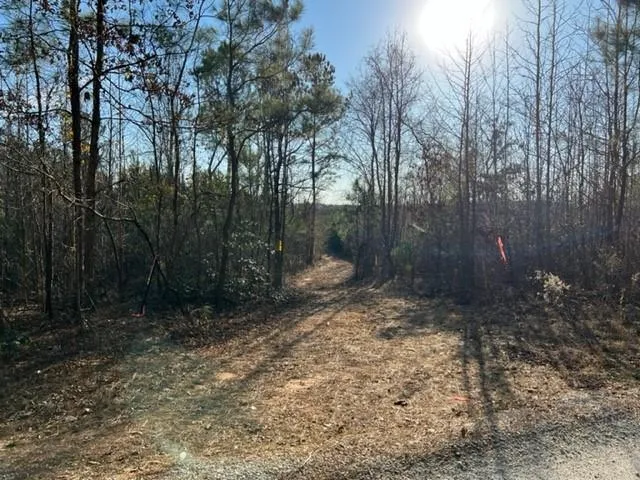 0 Luke Edwards Road Dacula, GA 30019