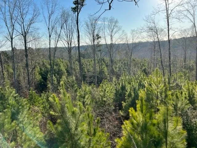 0 Luke Edwards Road Dacula, GA 30019