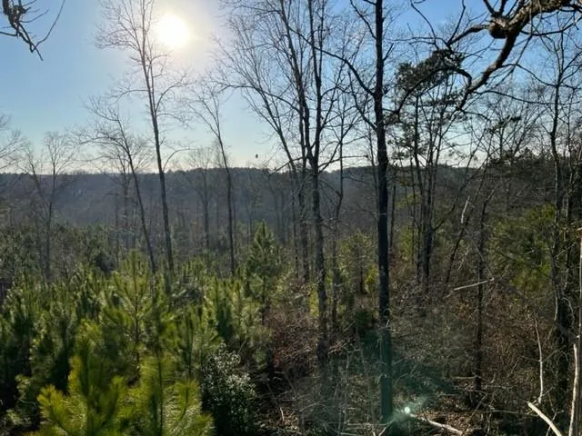 0 Luke Edwards Road Dacula, GA 30019