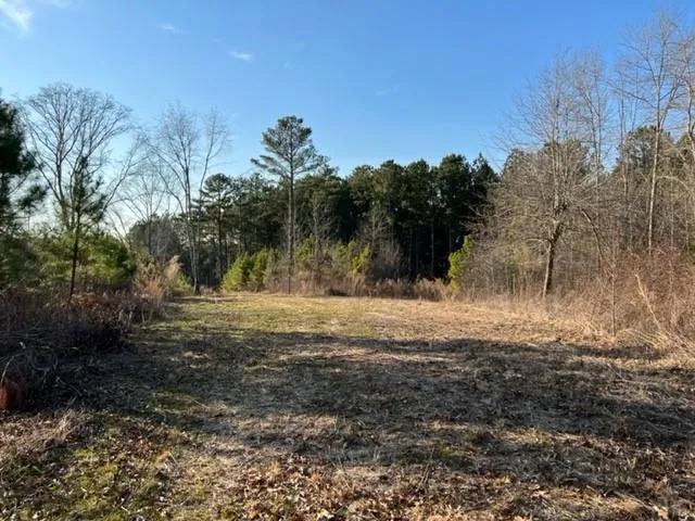 0 Luke Edwards Road Dacula, GA 30019