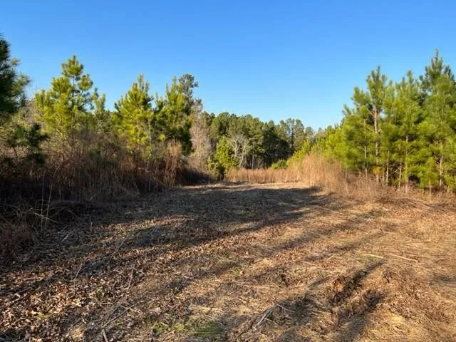 0 Luke Edwards Road Dacula, GA 30019