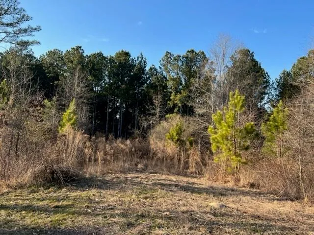 0 Luke Edwards Road Dacula, GA 30019