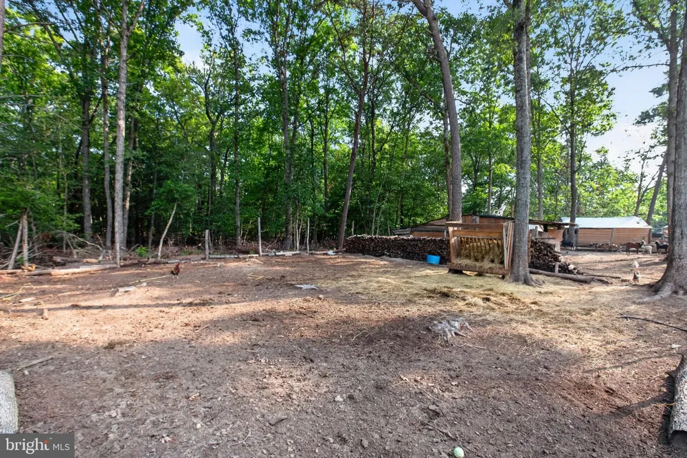 2905 SMITH POINT ROAD Nanjemoy, MD 20662