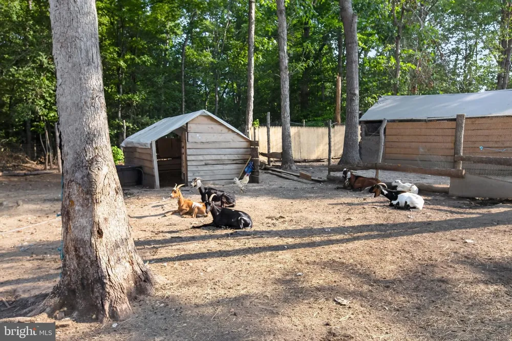 2905 SMITH POINT ROAD Nanjemoy, MD 20662