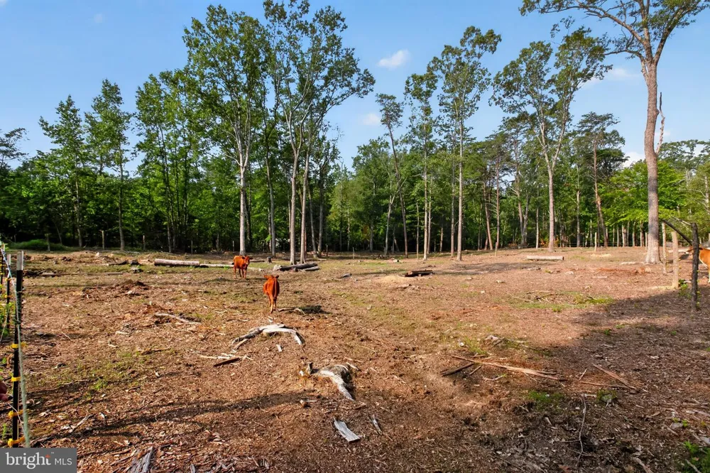 2905 SMITH POINT ROAD Nanjemoy, MD 20662
