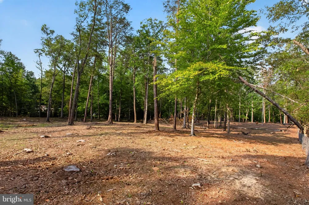 2905 SMITH POINT ROAD Nanjemoy, MD 20662