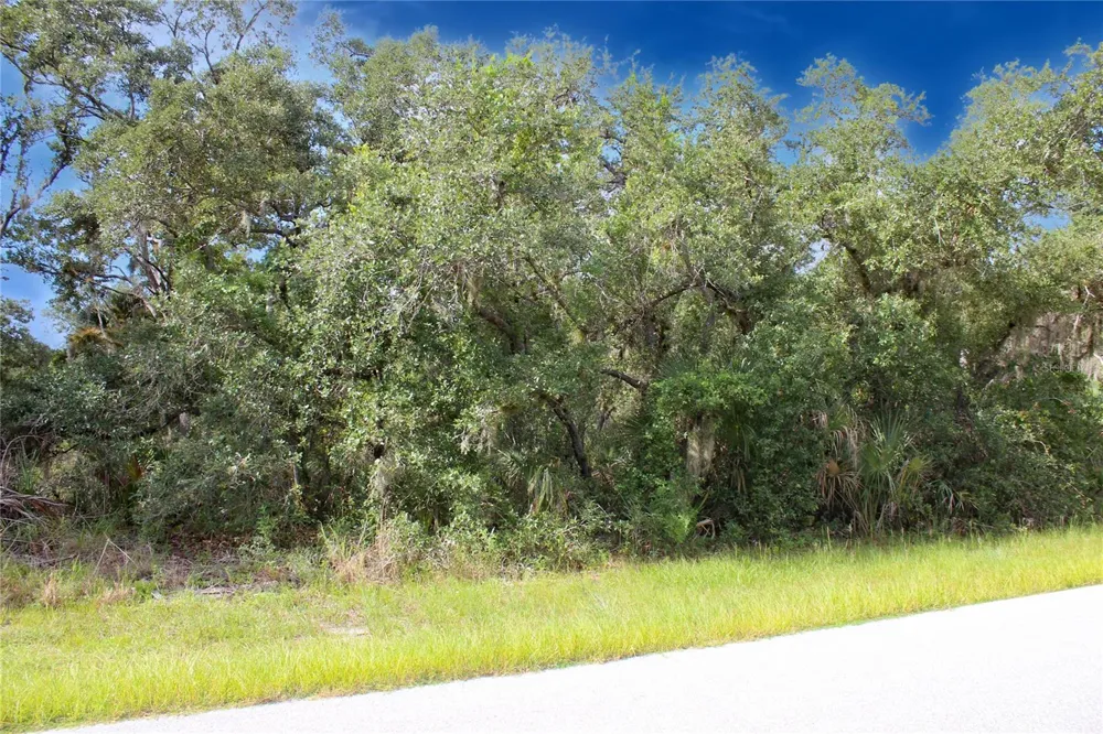 14441 MC CLELLAN AVENUE Port Charlotte, FL 33953