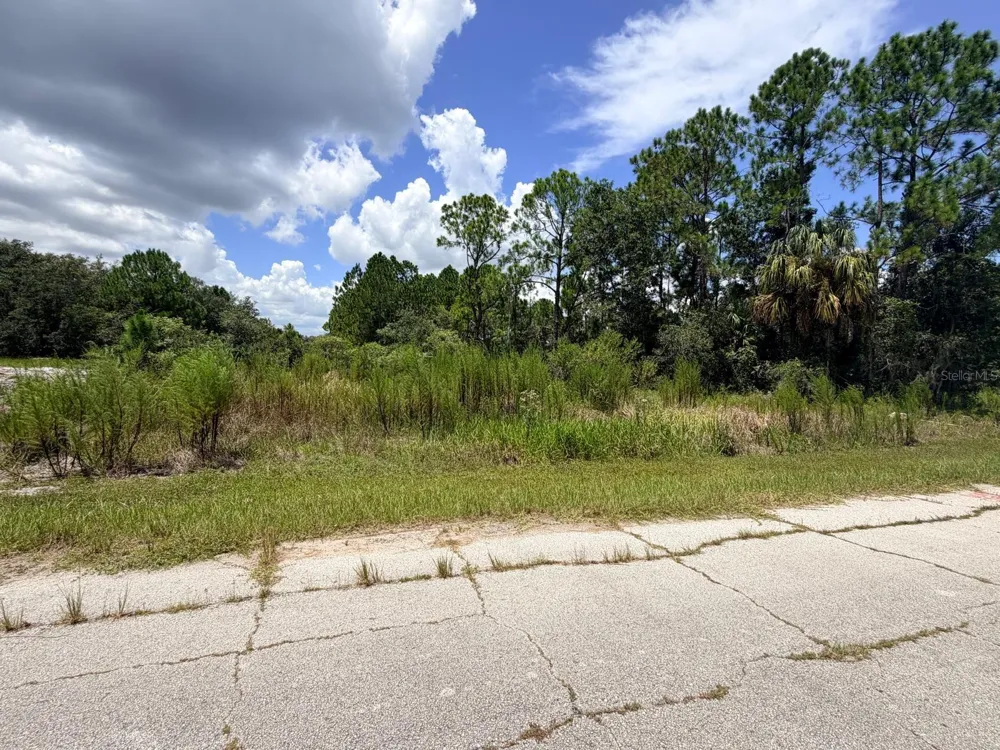 1269 BALTIC DRIVE Poinciana, FL 34759