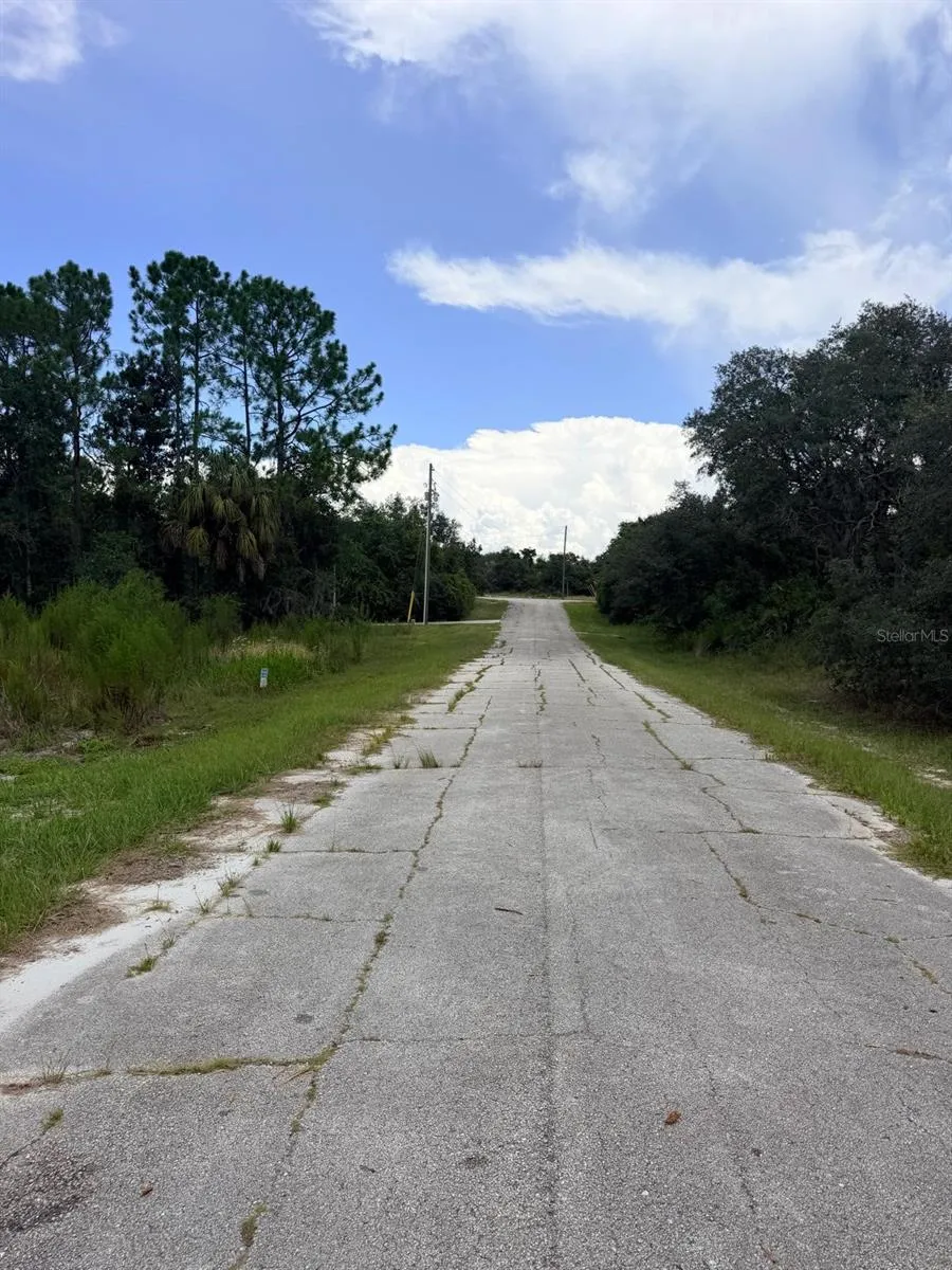 1269 BALTIC DRIVE Poinciana, FL 34759
