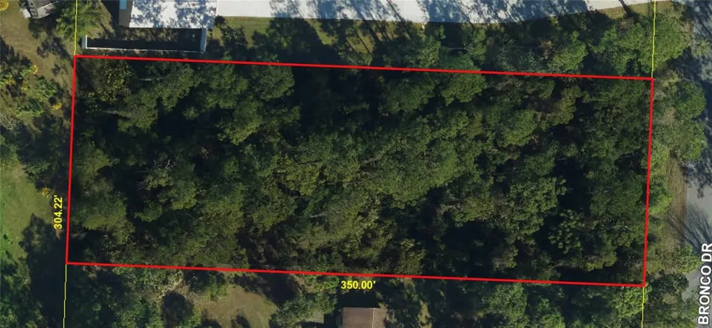 2340 BRONCO DRIVE St Cloud, FL 34771