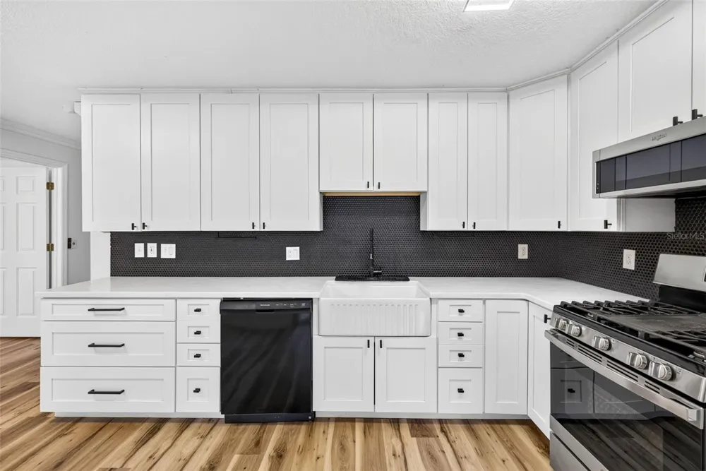 10521 LAKESIDE VISTA DRIVE Riverview, FL 33569