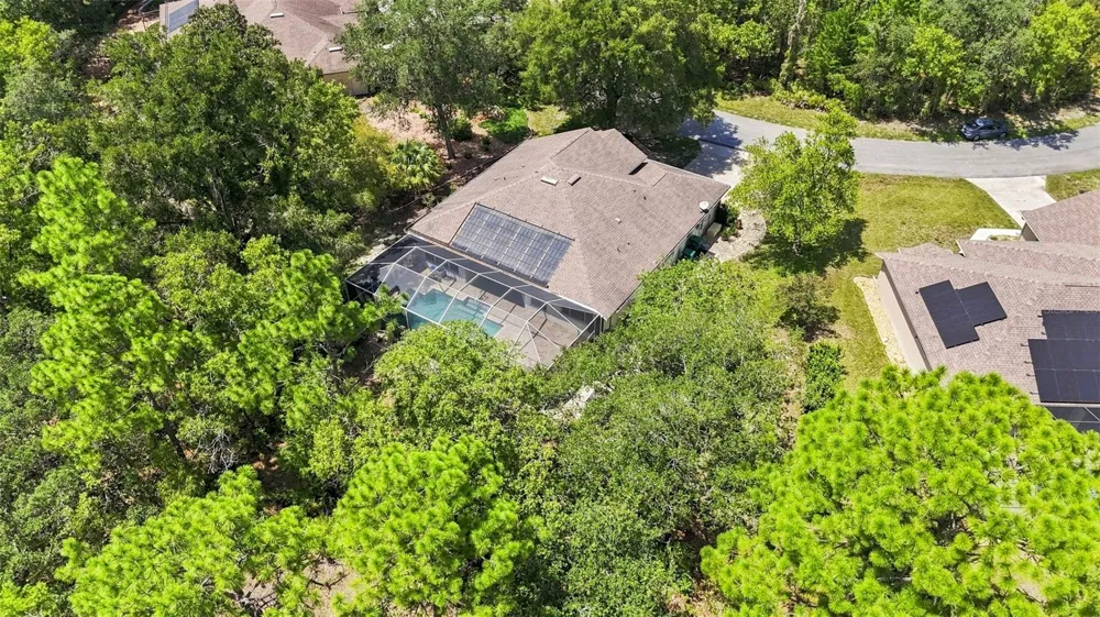 12 NICOTIANA COURT Homosassa, FL 34446