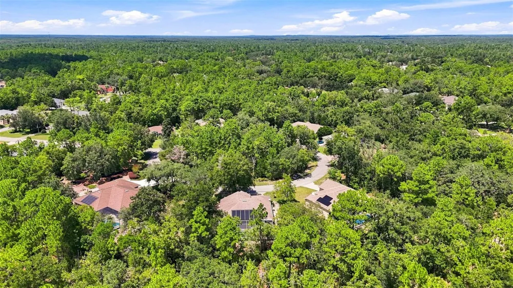 12 NICOTIANA COURT Homosassa, FL 34446