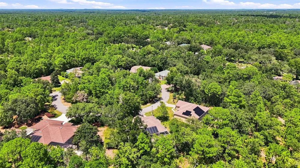12 NICOTIANA COURT Homosassa, FL 34446