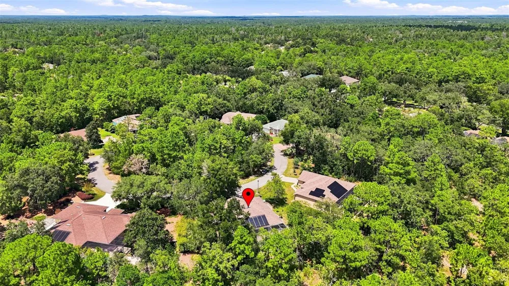 12 NICOTIANA COURT Homosassa, FL 34446