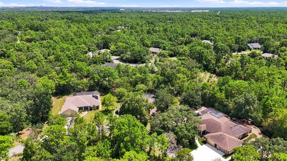 12 NICOTIANA COURT Homosassa, FL 34446