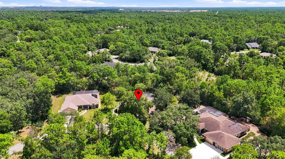 12 NICOTIANA COURT Homosassa, FL 34446
