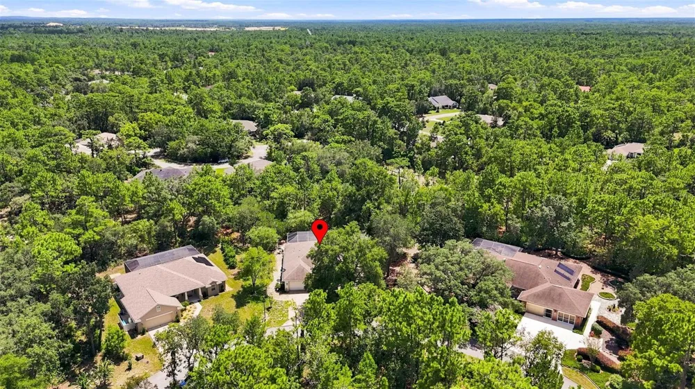 12 NICOTIANA COURT Homosassa, FL 34446