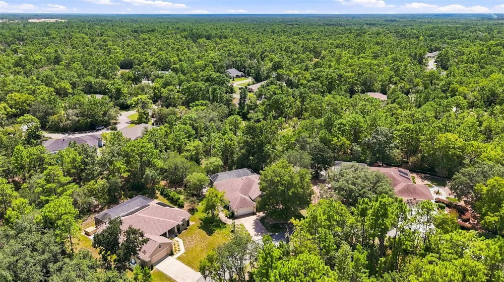 12 NICOTIANA COURT Homosassa, FL 34446