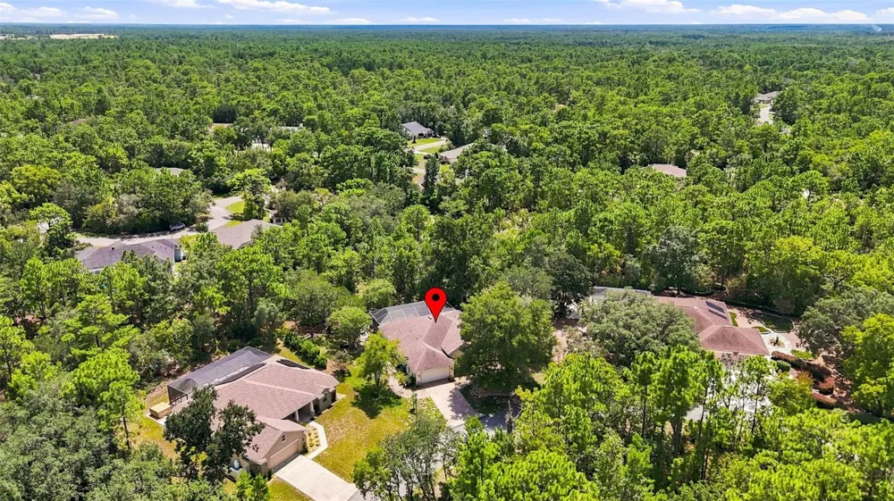 12 NICOTIANA COURT Homosassa, FL 34446