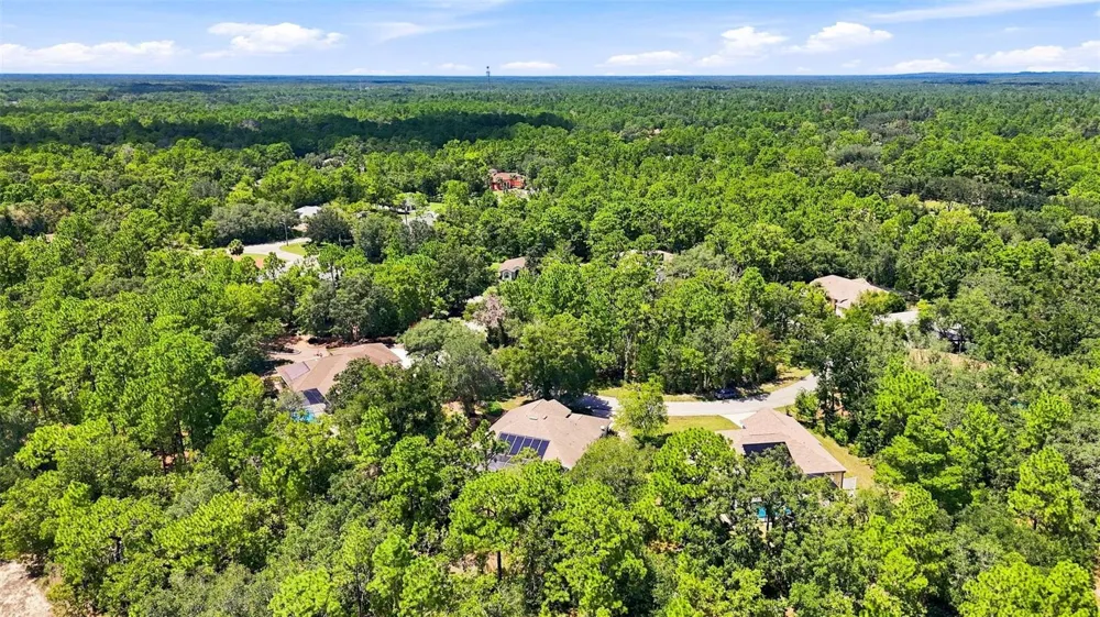 12 NICOTIANA COURT Homosassa, FL 34446