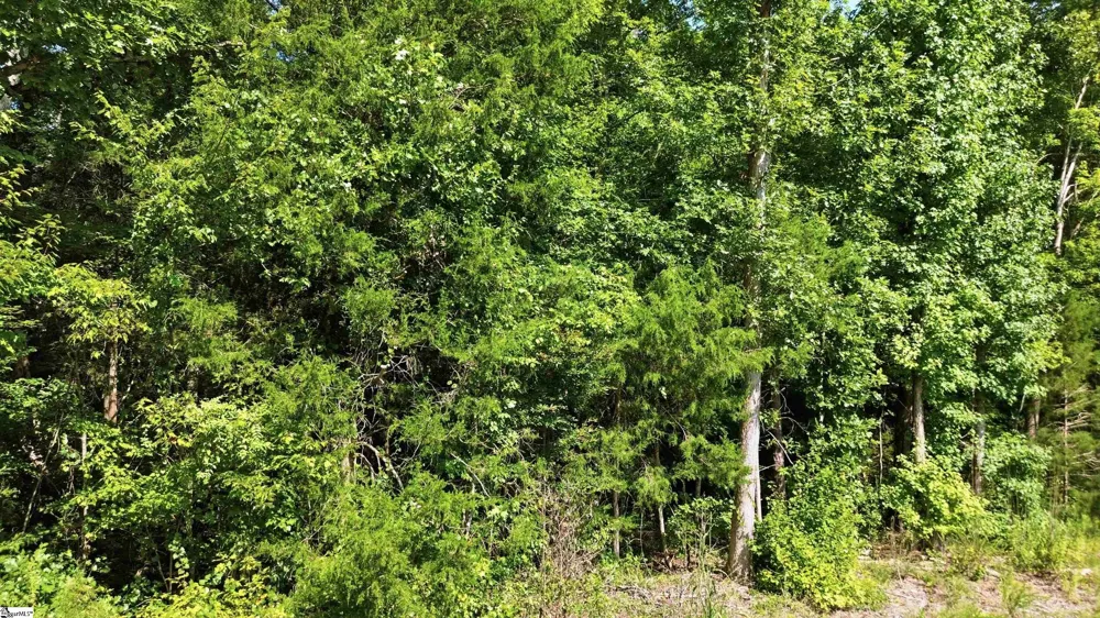 00 Ecliptic Drive #Lots 8-9 Ware Shoals, SC 29692