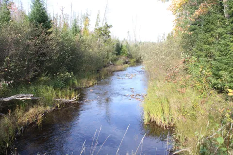 22006 Bowden Trail