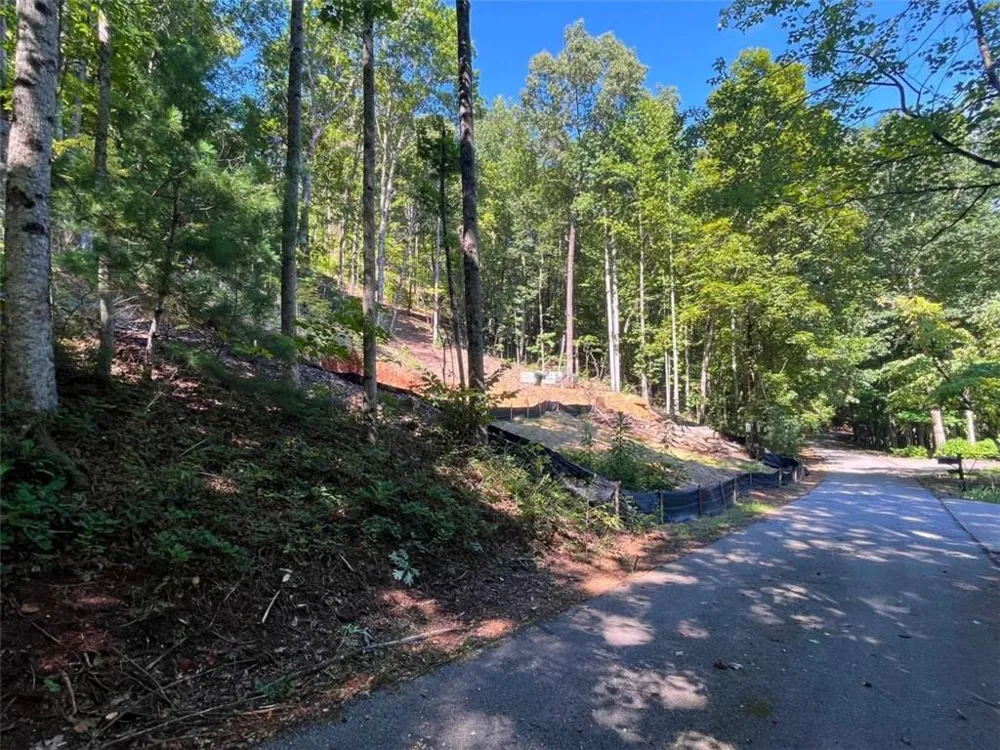 LOT 8 Lake View Clayton, GA 30525