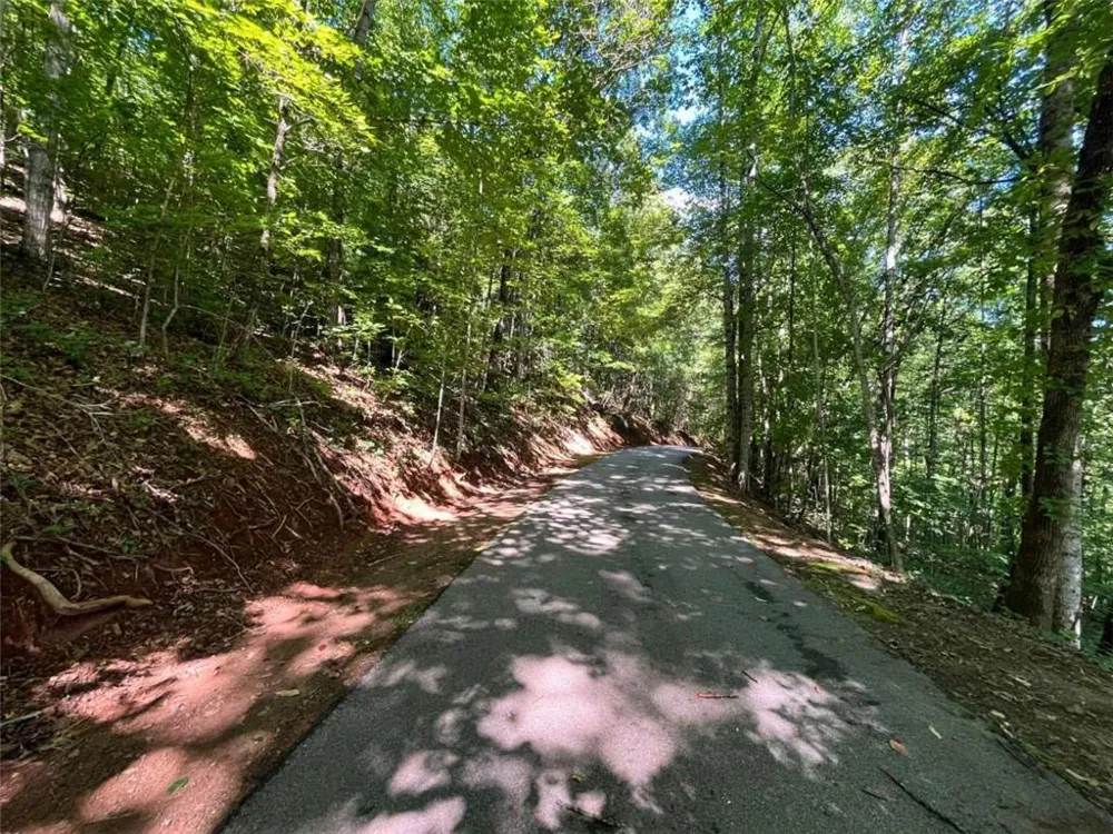 LOT 8 Lake View Clayton, GA 30525