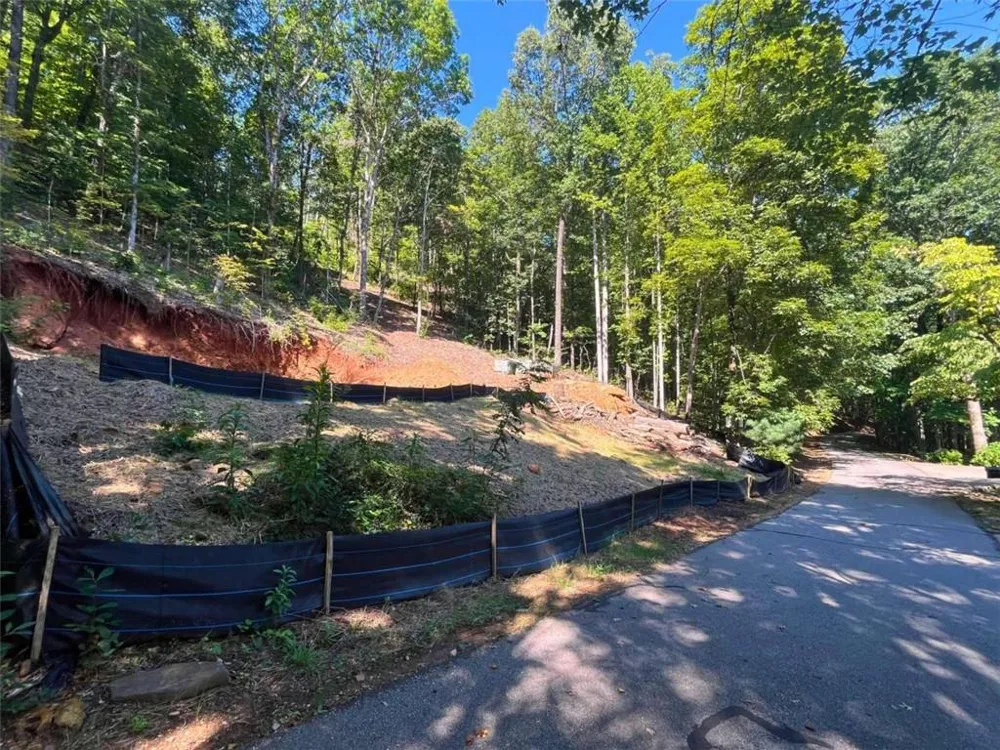 LOT 8 Lake View Clayton, GA 30525