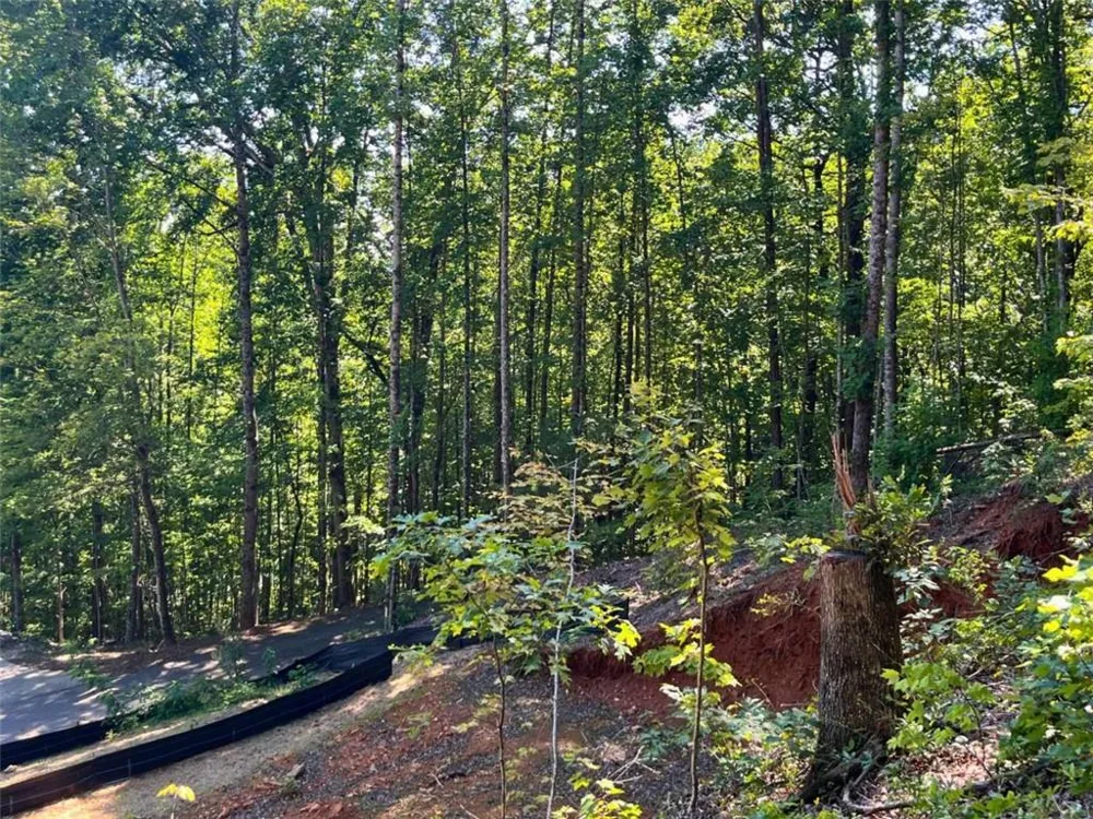 LOT 8 Lake View Clayton, GA 30525