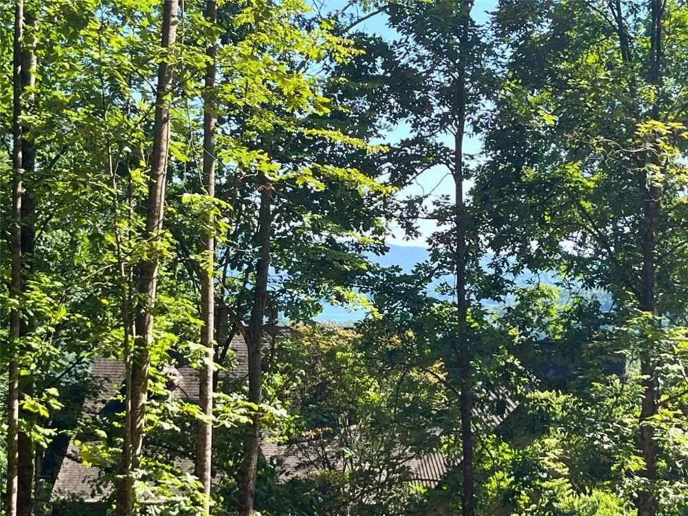 LOT 8 Lake View Clayton, GA 30525
