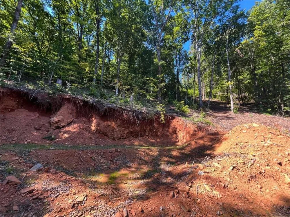 LOT 8 Lake View Clayton, GA 30525