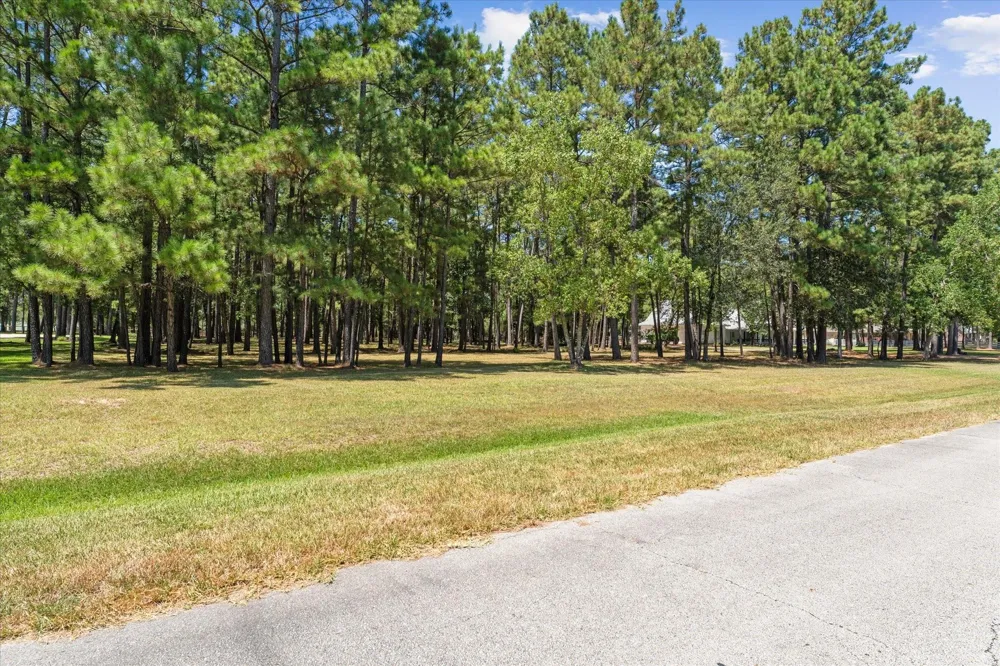 28712 Beth Marie Magnolia, TX 77355