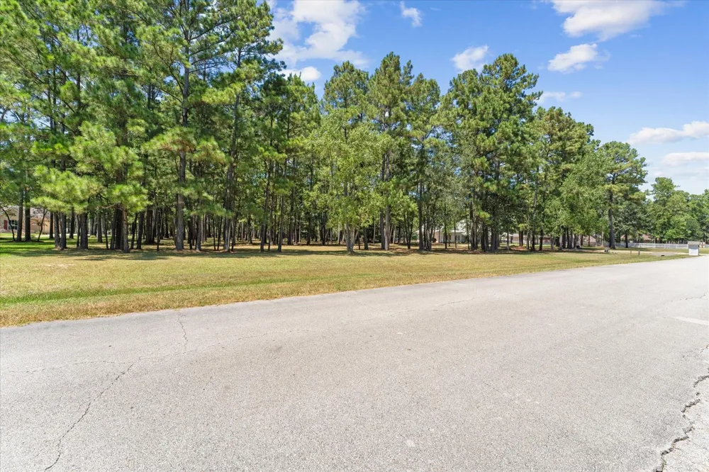 28712 Beth Marie Magnolia, TX 77355