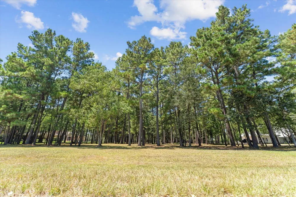 28712 Beth Marie Magnolia, TX 77355