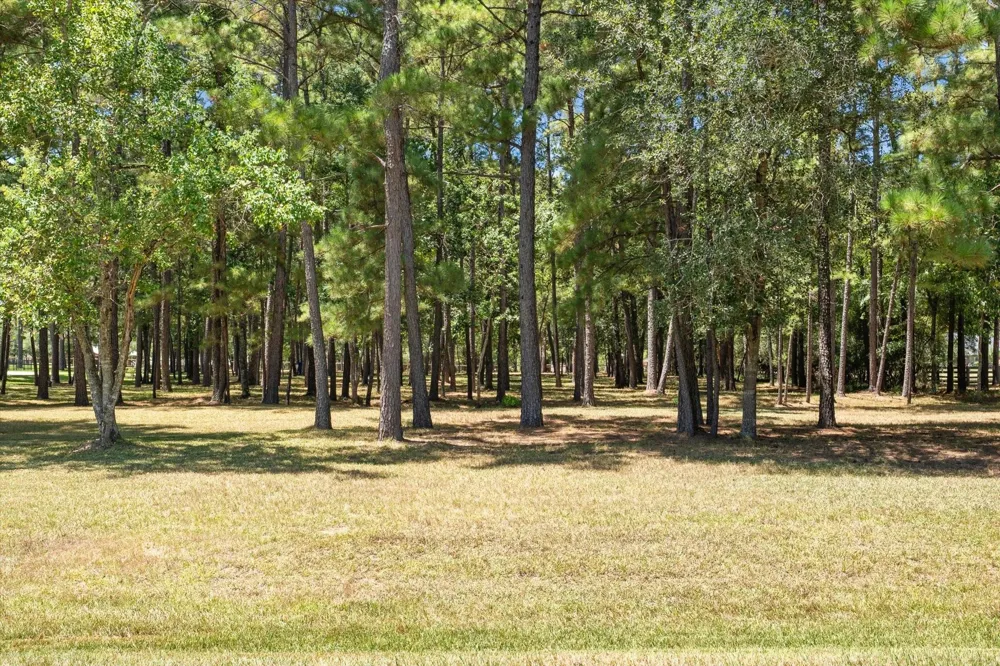 28712 Beth Marie Magnolia, TX 77355