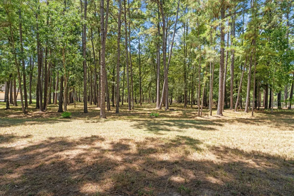 28712 Beth Marie Magnolia, TX 77355