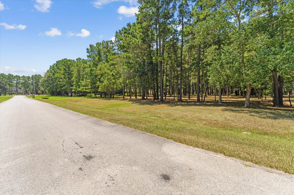 28712 Beth Marie Magnolia, TX 77355