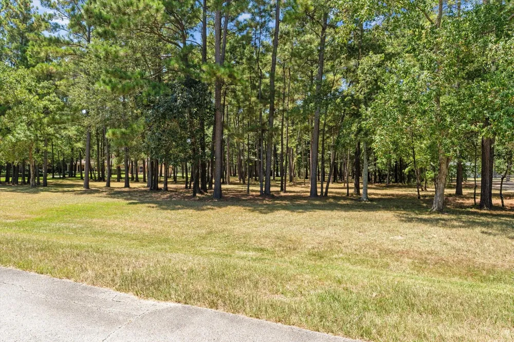 28712 Beth Marie Magnolia, TX 77355