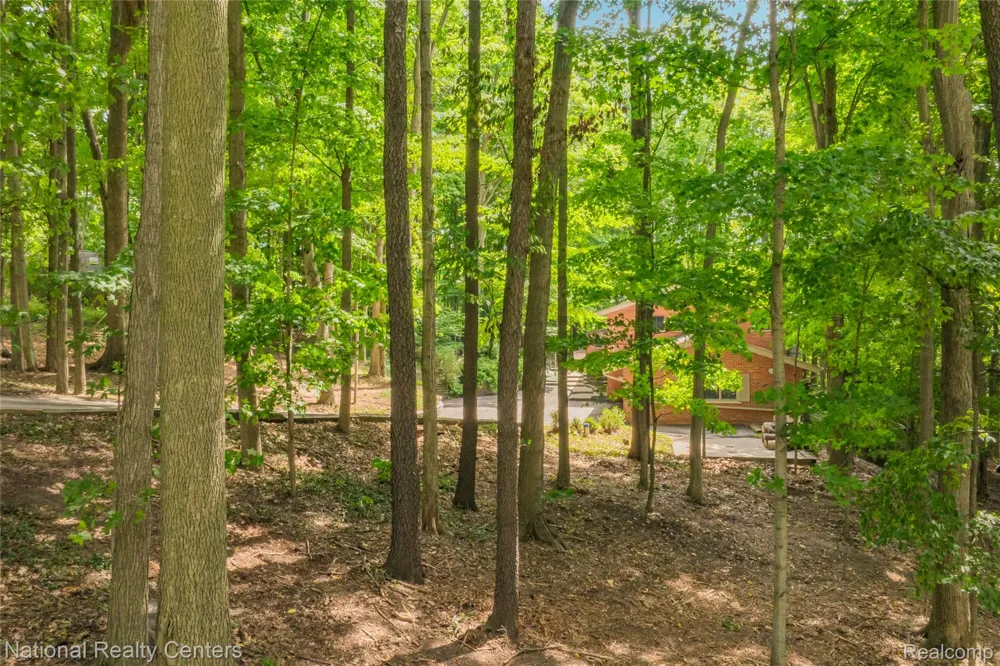20173 W Whipple Drive Northville Township, MI 48167