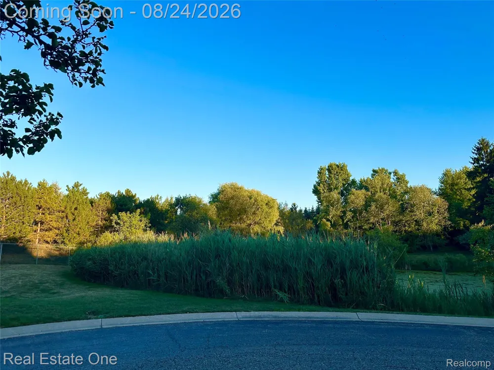 33102 Emma Circle #187 Commerce Charter Township, MI 48390
