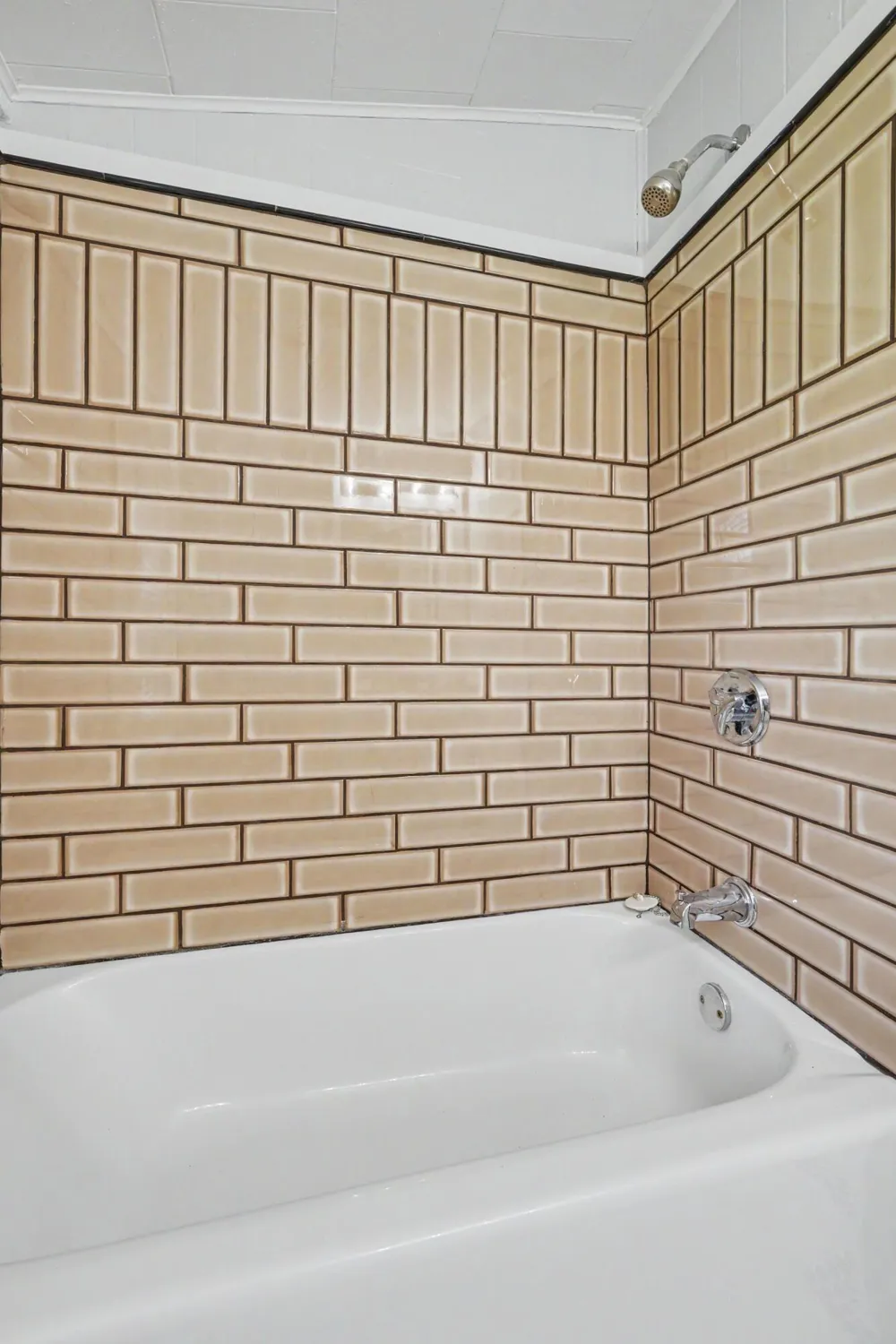 413 7th Street Leoni Township, MI 49254