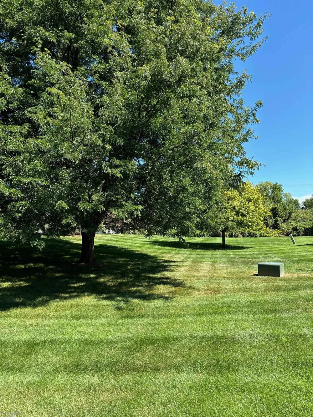 49850 Potomac Court Shelby Charter Township, MI 48315