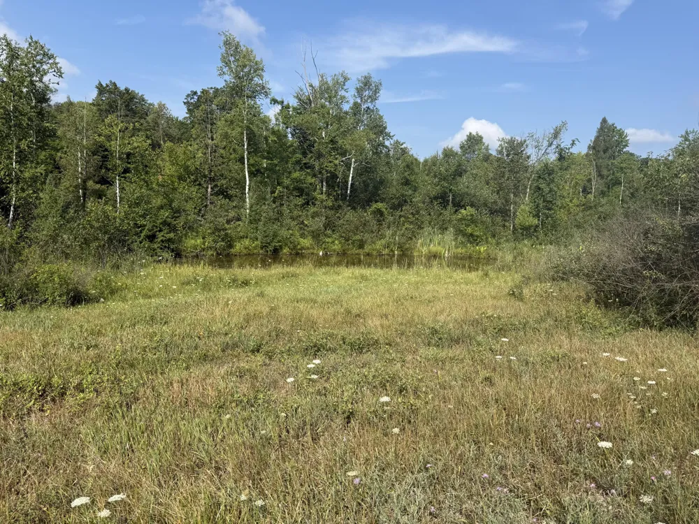 17370 160th Avenue Colfax Township, MI 49342